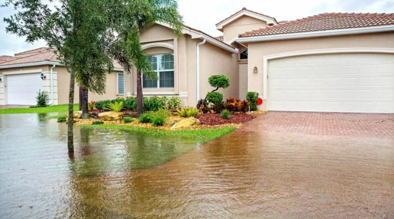 What to Do Immediately After a Flood Damages Your Property