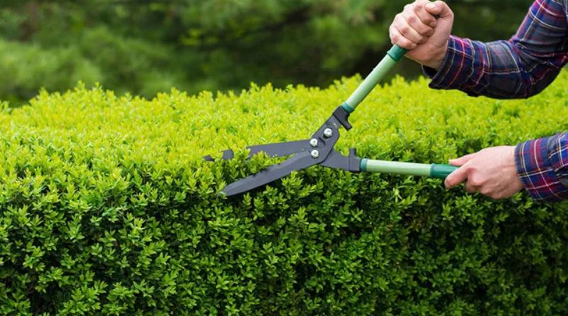 How to Handle Outdoor Chores When You’ve Got Zero Time