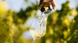 The Production Choices That Help Wine Age Gracefully for Years